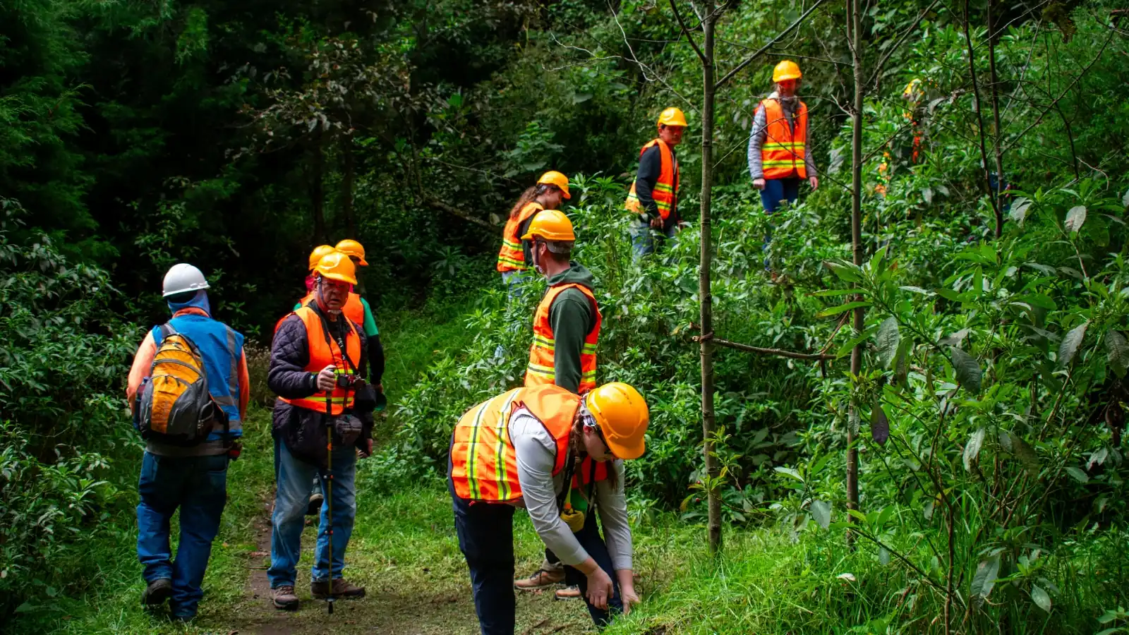 Portada - Historia institucional